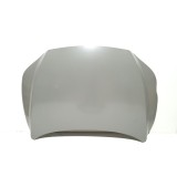 Capota Lexus Nx (Az20), 11.2021-, montare fata, aluminiu; vopsire prin imersie, JLine