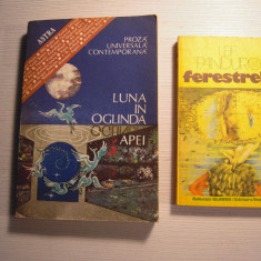 LOT de 2 carti: Luna in oglinda apei si Ferestrele (Leif Panduro)