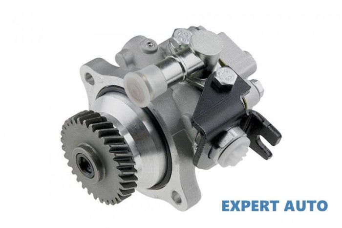 Pompa servo Nissan Patrol GR V (1997-&gt;)[Y61] #1