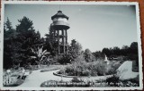 Carte postala, Cluj, Gradina Botanica, 1937