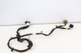Cablaj ușă dreapta spate TESLA MODEL X 2018 OEM: 1063406-00-F 11194911