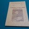 MATEMATICA &Icirc;N CICLUL PRIMAR * CONTRIBUȚII METODICE / ȘTEFĂNESCU VIRGIL/1980 *31