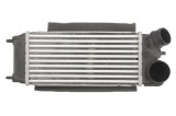 Radiator intercooler FORD FIESTA VI Van (2008 - 2017) THERMOTEC DAG014TT