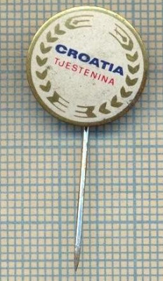 Y 1243 INSIGNA - TJESTENINA(PASTE) -CROATIA -IUGOSLAVIA- PENTRU COLECTIONARI foto