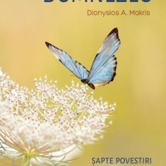 Așa cum ne vorbește Dumnezeu - Paperback brosat - Dionysios A. Makris - Sophia