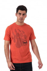 Tricou barbati Bear Max Kermode Orange L foto