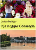 Kis magyar Od&uuml;sszeia - Julius Schafer