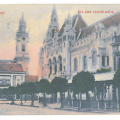 3864 - ORADEA, Market, Romania - old postcard - used - 1908