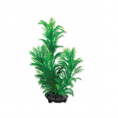 Tetra plantă acvariu - Green Cabomba S, 15cm