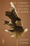 Cumpara ieftin Pe pamant suntem stralucitori o clipa/Ocean Vuong