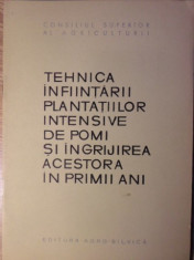 TEHNICA INFIINTARII PLANTATIILOR INTENSIVE DE POMI SI INGRIJIREA ACESTORA IN PRIMII ANI-GH. STANCIU, C. IONITA foto