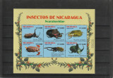 Fauna ,gandaci ,Nicaragua.