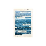 Meander, Spiral, Explode: Design and Pattern in Narrative