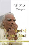 Lumina &icirc;n pranayama | B. K. S. Iyengar