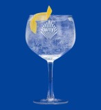 Pahar Crafters Gin 630 ml