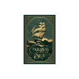 Caraway of the Sea: A grim-cozy pirate fantasy featuring an asexual female main character