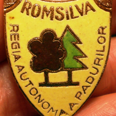 I.814 INSIGNA PIN ROMANIA SILVICULTURA ROMSILVA REGIA AUTONOMA A PADURILOR email