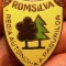 I.814 INSIGNA PIN ROMANIA SILVICULTURA ROMSILVA REGIA AUTONOMA A PADURILOR email