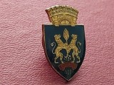 Insigna orasul Ploiesti