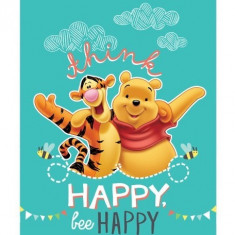 Jaluzea Geam 36X45Cm, Winnie The Pooh Disney D59319