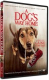 Drumul unui caine catre casa / A Dog&#039;s Way Home | Charles Martin Smith