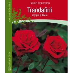 Trandafirii: ingrijire si taiere - Eckart Haechen