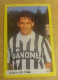 B10 - Sticker fotbal - Campionatul national Romania editia 1994/1995 - nr 310