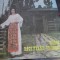 maria rachiteanu voicescu tot manand calul buestru n 18