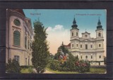 ORADEA BISERICA ROMANO - CATOLICA CIRCULATA 1916, Printata