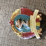 Insigna Romania pentru merite in munca medico - sanitara