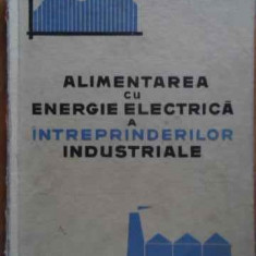 Alimentarea Cu Energie Electrica A Intreprinderilor Ondustria - Necunoscut ,521193