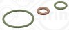 ELRING 189.270 Set garnituri etansare injectoare