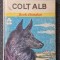 COLT ALB - Jack London (Biblioteca pentru toti copiii)