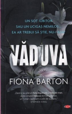 Fiona Barton - Vaduva foto