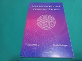 MATRICEA DIVINĂ * COMUNICĂTORII * ALEXANDRA C VASILE BOLOGAN / 2011 * 3 2 1