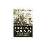 Healing Wounds: A Vietnam War Combat Nurse's 10-Year Fight to Win Women a Place of Honor in Washington, D.C.