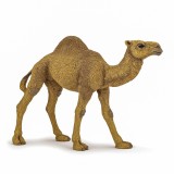 PAPO FIGURINA DROMADER, Animale Salbatice