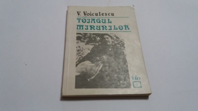 V. Voiculescu - Toiagul minunilor R21 foto