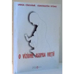O VIZIUNE ASUPRA VIETII de LARISA CIOCHINA, CONSTANTIN IFTIMIE , 2003