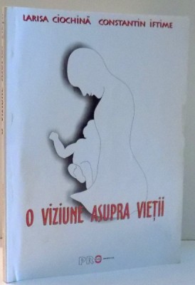 O VIZIUNE ASUPRA VIETII de LARISA CIOCHINA, CONSTANTIN IFTIMIE , 2003 foto