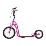 Trotineta inSPORTline Milester FitLine Training