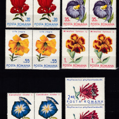 ROMANIA 1971 LP 767 FLORI DIN GRADINI BOTANICE PERECHE SERII MNH