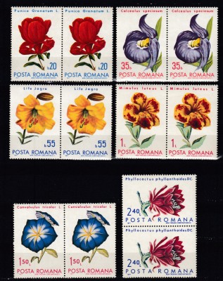 ROMANIA 1971 LP 767 FLORI DIN GRADINI BOTANICE PERECHE SERII MNH foto