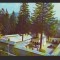 CPIB 22340 - CARTE POSTALA - SINAIA. MANASTIREA, NECIRCULATA