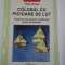 COLOSUL CU PICIOARE DE LUT - Peter Gross