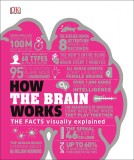 How the Brain Works |, 2020