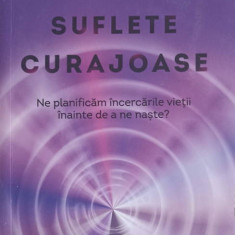 SUFLETE CURAJOASE. NE PLANIFICAM INCERCARILE VIETII INAINTE DE A NE NASTE?-ROBERT SCHWARTZ