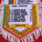 Fanion-Federatia de Fotbal din CAMERUN (CM 1982)