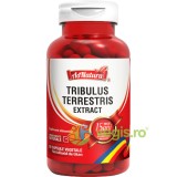 Tribulus Terrestris Extract 60cps