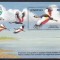 Lesotho 1992 -Conferința ONU pt. Mediu și Dezvoltare, Rio de Janeiro,Colita, MNH